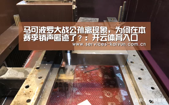马可波罗大战公孙离现象,为何在本赛季销声匿迹了?:开云体育入口(图2) 开云APP