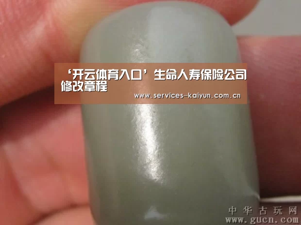 ‘开云体育入口’生命人寿保险公司修改章程(图4) 开云APP
