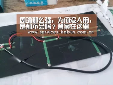 周瑜那么强,为何没人用,是都不会吗?答案在这里‘开云体育下载’(图2) 开云体育下载