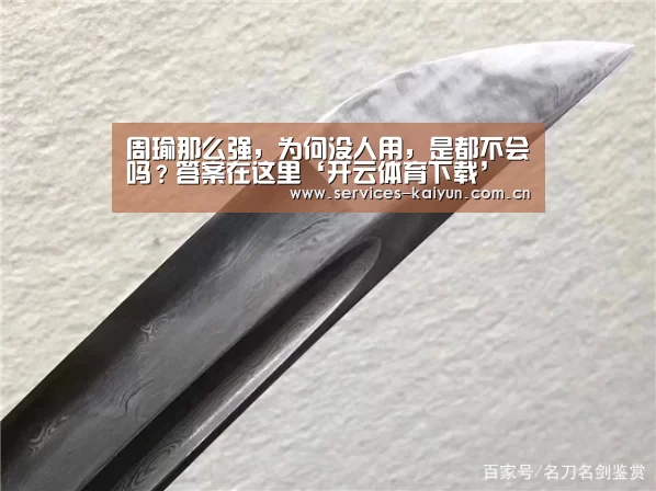 周瑜那么强,为何没人用,是都不会吗?答案在这里‘开云体育下载’(图1) 开云官网