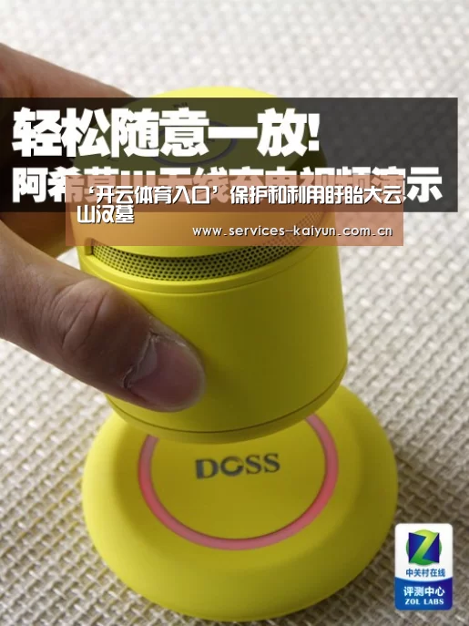 ‘开云体育入口’保护和利用盱眙大云山汉墓(图1) 开云